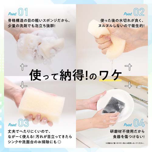 楽天24エクスプレス｜パックスナチュロンキッチンスポンジ ナチュラル