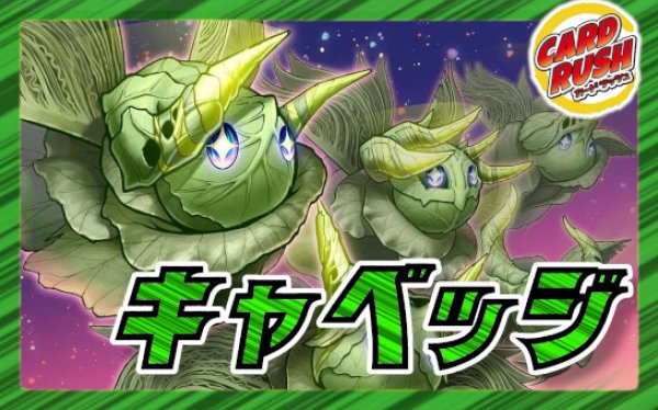 デュエマ 緑単キャベツ CS優勝 緑単キャベッジ 緑単グランセクト