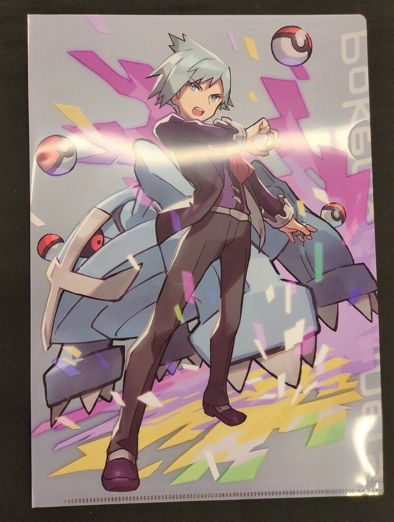 PokémonTrainers ワタル&ダイゴ&N A4クリアファイル3枚セット Amazon