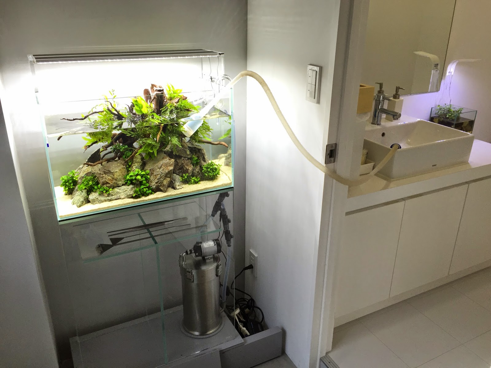 ADA キューブガーデン 30×30×30 ADA CUBE GARDEN ガラス水槽 30cm ADA