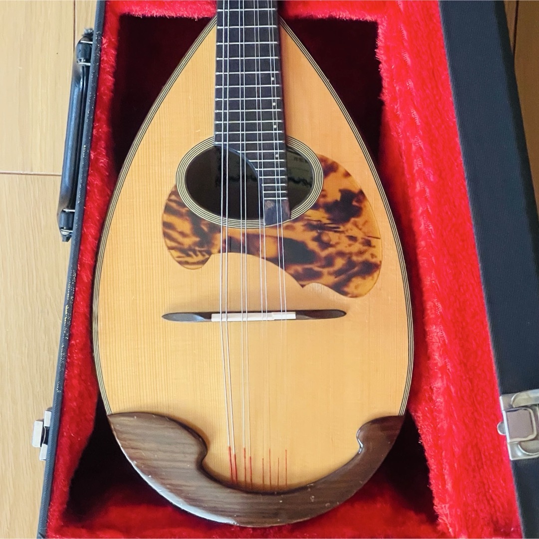 希少】石川捷二郎監修 Venezia マンドリン M-50 木曽鈴木