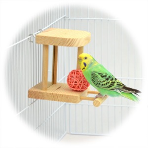 D20 ⭐ ミラーボードとフォージングトイセット(大)⭐ インコ