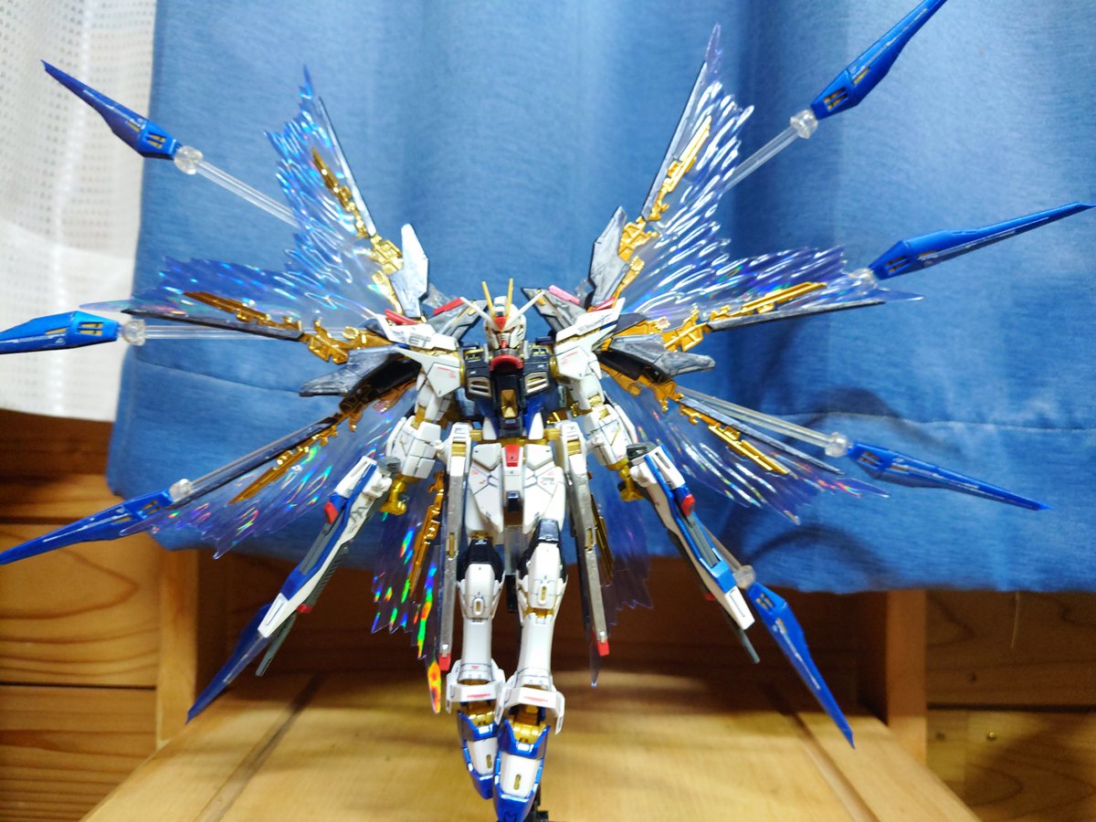 RG ストライクフリーダム チタニウムフィニッシュ 天空の翼 HG