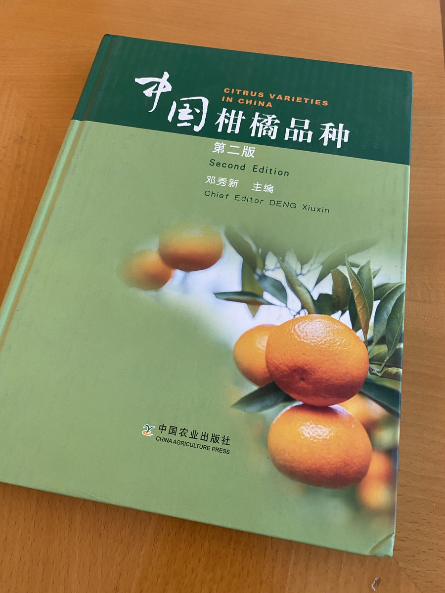 みかん様 みかんページ みかん様 ミカン様 ミカン様 蜜柑様 レビュー】ZX