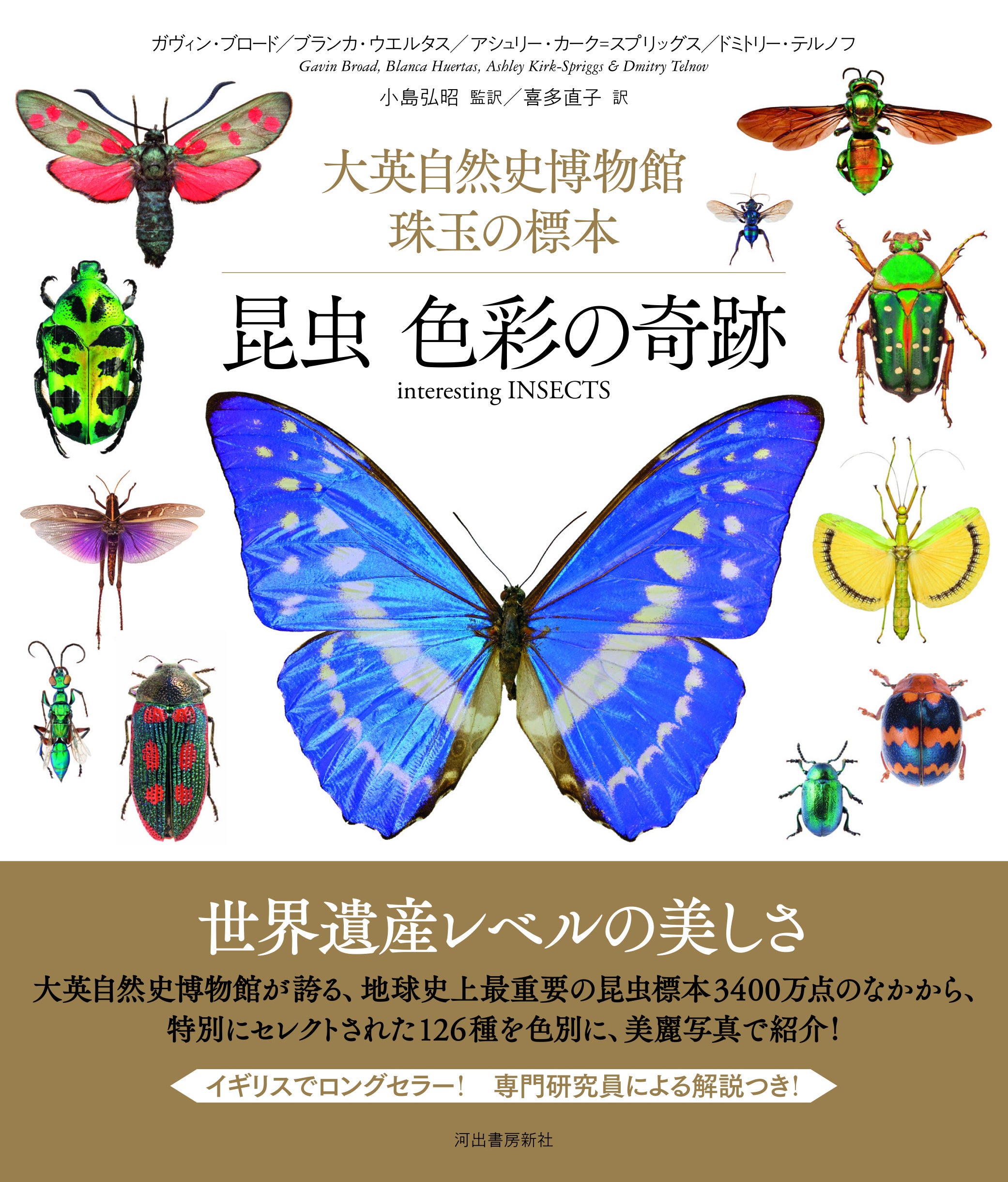 昆虫好き垂涎！】大英自然史博物館が誇る貴重な昆虫標本コレクション