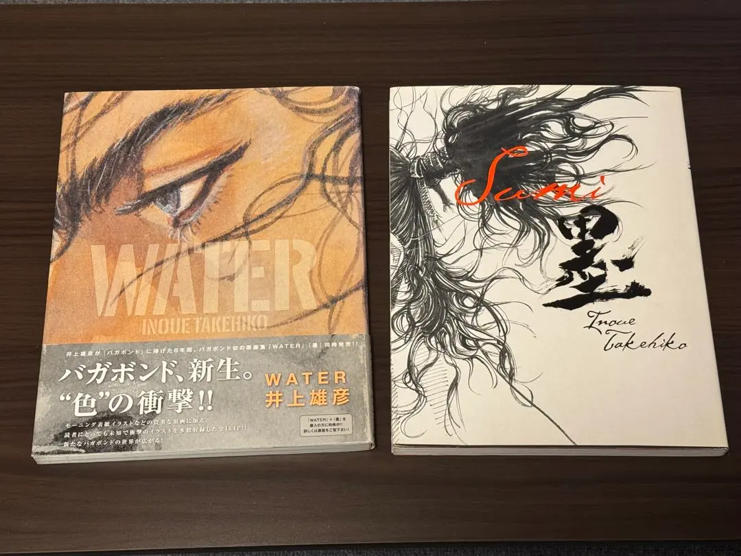 バガボンド宮本武蔵「行くのか武蔵」表紙絵中野耕一オリジナル原画