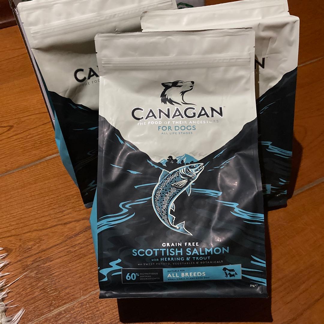 CANAGAN サーモンドックフード 2Kg ✖️3袋　① 楽天市場】【公式】カナガン キャットフード サーモン (1.5kg) 全猫種